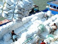 Trung Quốc vẫn là thị trường nhập khẩu gạo lớn nhất của Việt Nam