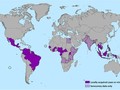 Mỹ xuất hiện virus Zika cực kỳ nguy hiểm