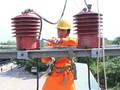 Công nhân điện lực Vĩnh Long đang kiểm tra hệ thống lưới điện.