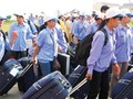 Vụ khách ‘mất tích’ ở Hàn Quốc: Không ảnh hưởng tới xuất khẩu lao động