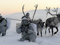 Clip tuần lộc và chó kéo xe tham gia huấn luyện tác chiến của Nga