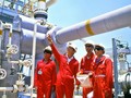 Pv Gas có thể mất 1.200 tỷ đồng lợi nhuận vì... chờ một quyết định