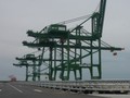 Hầu hết các cảng quốc tế ở khu vực Cái Mép đều vắng khách, lỗ lũy kế cả nghìn tỷ đồng