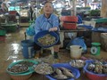 Hà Tĩnh: Hàm lượng kim loại nặng trong hải sản ở ngưỡng cho phép