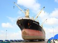 Tàu Easterm Sun trọng tải 22.000 DWT của Công ty CP vận tải Biển Bắc (thuộc Vinalines) sửa chữa tại Nhà máy sửa chữa tàu biển Nosco Vinalines. Nhiều tàu phù hợp với thị trường nội địa như này Vinalines đang cho doanh nghiệp khác thuê khai thác