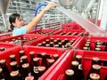 Bộ Công thương vừa quyết định thành lập Ban chỉ đạo và Tổ giúp việc Ban chỉ đạo thoái vốn nhà nước tại Habeco và Sabeco