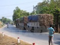 Một “cò canh đường” đang gọi báo động cho các tài xế xe chở mía trên đường Trần Văn Trà (địa phận xã Bình Minh, thành phố Tây Ninh ). (Ảnh: Thanh Tân/TTXVN)