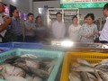 Trưởng Ban Quản lý An toàn thực phẩm TP HCM kiểm tra, khảo sát thủy, hải sản tại tỉnh Bình Thuận
