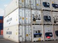 Một kho container đông lạnh tại Hải Phòng