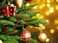Nước Đức là nơi đầu tiên bắt đầu phong trào trang trí cây thông trong ngày lễ Giáng sinh. Nguồn: Today