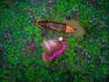 Video thu lại bằng flycam thường đẹp nhất, đem đến sự thú vị cho người xem. Nguồn: The Drone Girl