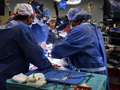 Ca phẫu thuật diễn ra trong vòng 8 tiếng (Ảnh NYT)