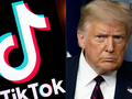 TikTok là mạng xã hội phát triển rất nhanh chóng
