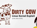 Lỗ hổng "con bò dơ bẩn" đang đe dọa hơn 5000 hệ thống máy chủ tại Việt Nam. - Ảnh: The Hacker News