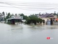 Nhiều huyện trên đại bàn tỉnh Quảng Nam bị ngập úng nặng nề do mưa lớn kéo dài