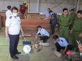 Cơ quan chức năng kiểm đếm lô hàng ngà voi nhậu lậu tại cảng Đà Nẵng
