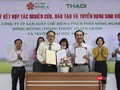 Đại diện THADI và Đại học Đông Á tại lễ ký kết hợp tác đào tạo