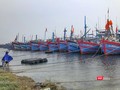 Tàu thuyền về neo đậu tại âu thuyền Thọ Quang (Đà Nẵng) để tránh bão số 5