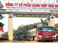 Thanh tra Chính phủ vừa kết luận nhiều sai phạm tại dự án cải tạo mở rộng sản xuất giai đoạn 2 nhà máy Gang thép Thái Nguyên/ Ảnh: tisco.com.vn