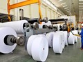 Công nghiệp Giấy Việt Nam tiềm năng nhưng còn nhiều bất cập.