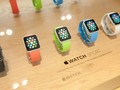 Apple Watch chưa có đóng góp gì trong kết quả kinh doanh Quý II của Apple.