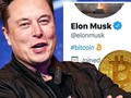 Những dòng tweet "vạ miệng" đang khiến Elon Musk phải đối mặt với nhiều vụ kiện từ phía cổ đông. Ảnh: Daily Express