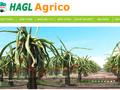 Ảnh chụp màn hình trang chủ của HAGL Agrico (Nguồn: HNG)