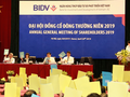 Các cổ đông tham gia ĐHĐCĐ thường niên năm 2019 của BIDV tiến hành bỏ phiếu (Nguồn: BIDV)