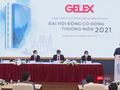Ban chủ toạ ĐHĐCĐ thường niên năm 2021 của Gelex (Ảnh chụp màn hình)