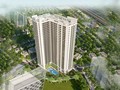 Dự án An Bình Plaza của Glexhomes