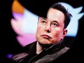 Ai sẽ làm CEO Twitter thay Elon Musk? (Ảnh: Internet)