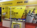 Stark Corp từ chỗ một câu chuyện thành công của Thái Lan giờ đã bị đẩy sát tới bờ vực (Ảnh: Bangkok Post)