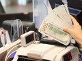 Tỷ giá hạ nhiệt, rời mốc 24.000 đồng/USD