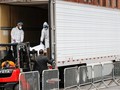 Do số người chết tăng nhanh và quá nhiều, thành phố New York phải sử dụng các xe tải đông lạnh làm nơi lưu giữ thi thể (Ảnh: AP).