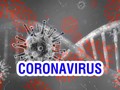 Dịch bệnh COVID-19 do virus Corona mới gây ra đã lây lan ra khắp thế giới làm hơn 1,25 triệu người nhiễm bệnh (Ảnh: theenglishpost.com).