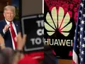 Ông Trump tiếp tục ra đòn trừng phạt Huawei, đưa thêm 38 công ty chi nhánh ở Trung Quốc và các nước vào "danh sách đen" bị chế tài (Ảnh: .wionews).