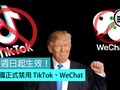 Nhà Trắng đã chính thức tuyên bố cấm các ứng dụng di động TikTok và WeChat từ ngày 20/9. (Ảnh:Qooah).