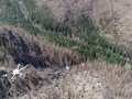 Mast Reforestation cung cấp dịch vụ gieo hạt trên không, nhưng UAV chỉ là một phần trong hoạt động kinh doanh “trồng rừng như một dịch vụ”. Ảnh CNBC