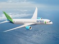 Bình Định tiếp tục áp dụng cưỡng chế nợ thuế với Bamboo Airways