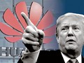 Dưới nhiệm kỳ ông Trump, Huawei và các công ty Trung Quốc chịu nhiều khó khăn hơn trước. Ảnh: Reuters.