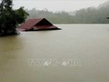 Mưa lũ nhấn chìm nhà dân ở Quảng Bình (ảnh TTXVN)