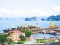 Đến lượt cảng Quảng Ninh được Vinalines rao bán