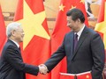 Lịch trình chuyến thăm Việt Nam của ông Tập Cận Bình 