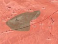 Bản đồ tình hình chiến sự khu vực sa mạc Homs - Deir Ezzor. Ảnh minh họa twitter.com/syria_map