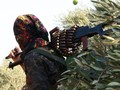 Nữ du kích người Kurd ở Afrin. Ảnh South Front