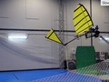 Robot vỗ cánh ornithopter bay và đậu trên thanh ngang. Ảnh video New Scientist