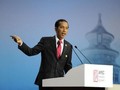 Tổng thống Indonesia Joko Widodo. Ảnh: Sina