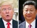 Tổng thống Mỹ Donald Trump và Chủ tịch Trung Quốc Tập Cận Bình. Ảnh: Thời báo Công thương, Đài Loan.