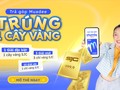 Trúng vàng cực nhàn với thẻ trả góp Muadee by HDBank