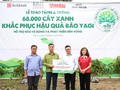 SeABank và Tập đoàn BRG chung tay trồng 68.000 cây phủ xanh gần 20ha rừng tại Lào Cai
